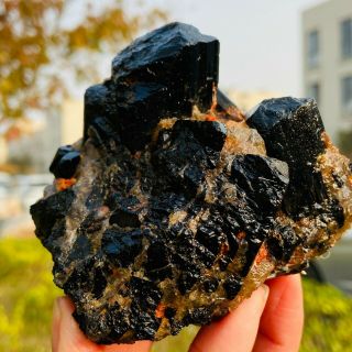 498g Natural black tourmaline quartz crystal cluster mineral specimen FCC694 3
