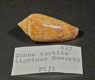 Conus Textile Tigrinus Sowerby 417,  38.  67 Mm,  4.  5 Grams - Fiji