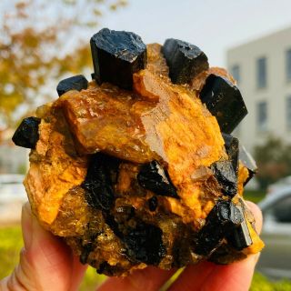 440g Natural Black Tourmaline Quartz Crystal Cluster Mineral Specimen Fcc693