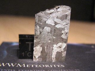Meteorite Nwa 6903 - Iron,  Medium Octahedrite (iiiab)