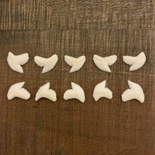 10 Modern Tiger Shark Teeth 3/4 " To 7/8 Perfect For Necklaces Pendants Or Crafts