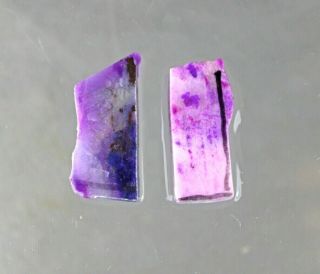 Dkd 29h/ 13.  4grams Partly Gel Pink Sugilite 1 With Richterite Rough Pre Forms