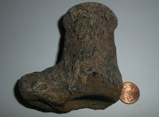 Mosasaur Fossil Cervical vertebra Cretaceous of N.  E.  TX Ozan Formation 2