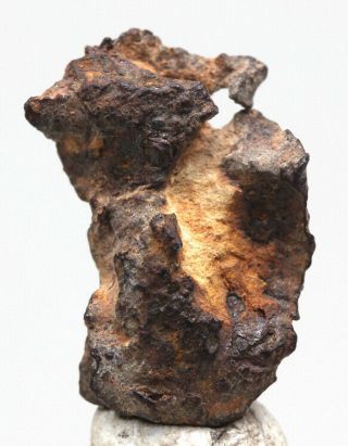 Very Rare Imilac Iron Meteorite Pallasite Sculptural Skeleton Fragment Chile