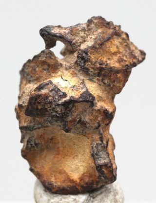 VERY RARE Imilac Iron Meteorite Pallasite Sculptural Skeleton Fragment CHILE 2