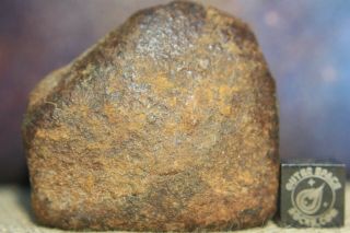 Nwa Unclassified Meteorite 79.  2g Individual With Desert Polished Ablated Surface