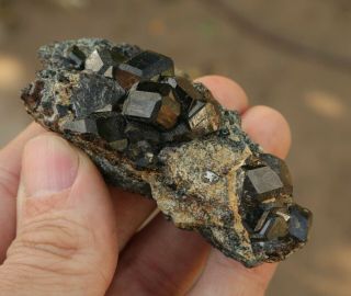 Melanite Garnet Crystals On Matrix From Kayes Region,  Mali