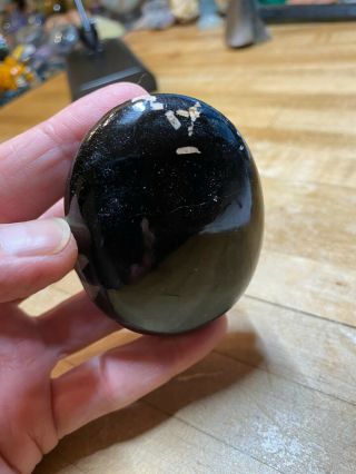 Black Tourmaline Crystal Mineral Gemstone Palm Stone With Quartz And Calcite 888