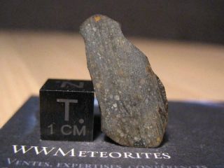Meteorite Nwa 12472 - Unequilibrated Rumurutie Chondrite - R3 (with R5 Clasts)