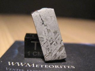 Meteorite Nwa 11199 - Iron - Octahedrite Iiiab