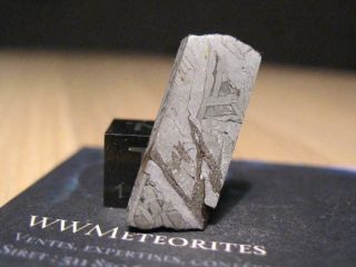 Meteorite NWA 11199 - Iron - Octahedrite IIIAB 2