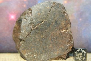 Nwa Unclassified Meteorite 150.  3g Individual With Incredible Composition