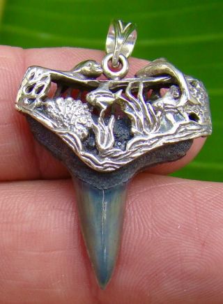 Venice Beach - Shark Tooth Necklace - 1 & 5/16 In.  Sterling Silver