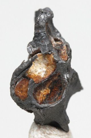 SERICHO Iron Meteorite Pallasite Skeleton Olivine Crystals Specimen Meteor KENYA 3