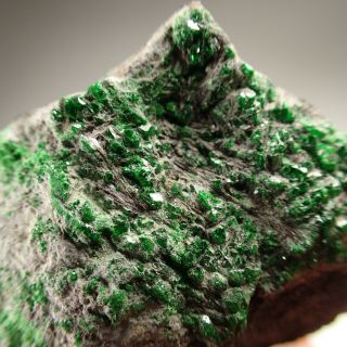 Shuiskite Purplish Fibrous Crystals,  Uvarovite Saranovskii Mine,  Russia