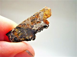 Museum Quality Crystals Brahin Pallasite Meteorite 2.  217 Gms