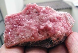 Rhodochrosite Pink Cubic Crystals On Matrix From Peru. .  Manuelita Mine.