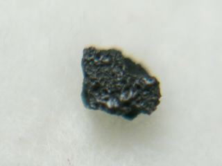 Crusted Tagish Lake Meteorite Rare Carbonaceous Fusion Crust Canada Imca