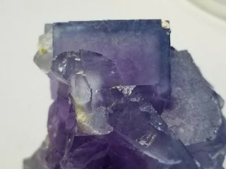 Phantom Fluorite Crystal Cluster,  Blanchard Mining Area,  Bingham,  NM 2
