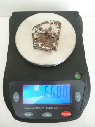 66 Grams Meteorite Slice Pallasite Olive Meteorite Full Slice 66 Grams