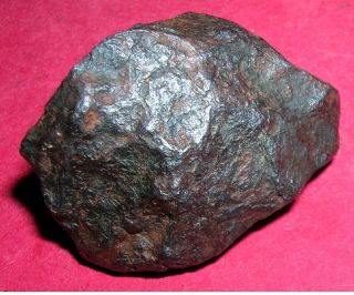 Canyon Diablo Meteorite - 41.  6 Gram Individual