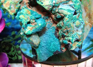 Large Turquoise - Blue Botryoidal Chrysocolla Crystals W/quartz Hayden Arizona 7 ",