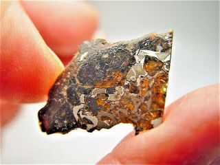 Museum Quality Crystals Brahin Pallasite Meteorite 3.  861 Gms