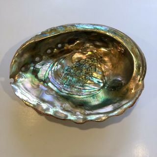 Abalone Shell With Lucite Feet Footed Trinket Candy Bowl Large 8.  5 " Vintage