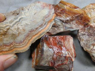 Old Crazy Lace Agate Rough 4.  20 Lbs