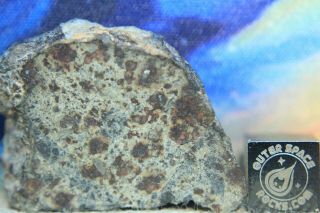 Nwa 6080 Ll4 Chondrite Meteorite 12.  6 Gram Part Slice With Chondrules And Metal
