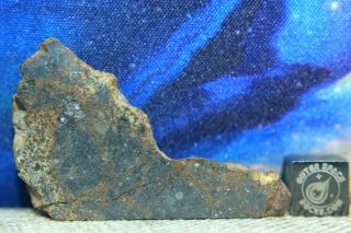 Nwa 7192 Ll4 Chondrite Meteorite 14.  3 Gram Part Slice With Chondrules And Metal