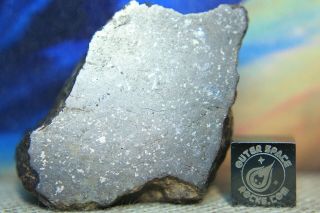 Nwa Unclassified Meteorite 44 Gram Desert Polished Windowed Fragment