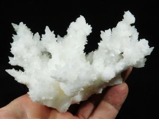 A Big 100 Natural Bright White Aragonite Crystal Cluster With A Stand 313gr