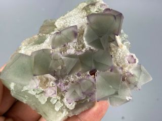 75mm Purple And Green Octahedral Fluorite Cluster On Quartz Matrix From China