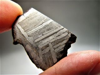 Great Deal Sensational Seymchan Iron Meteorite Slice 17.  7 Gms