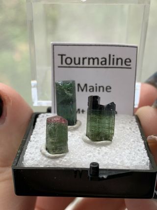 Maine Tourmaline Crystals