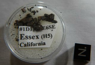 RARE Essex Fragments Meteorite Found 2002 in California H5 Chondrite TKW 5 KW 2