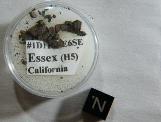 RARE Essex Fragments Meteorite Found 2002 in California H5 Chondrite TKW 5 KW 3
