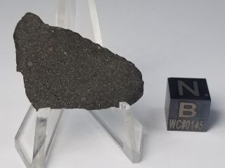 Nwa 8737 Carbonaceous Chondrite Co 3.  0 Morocco 3.  20 Gram Slice