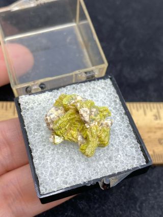 Neat Autinite (uranium Phosphate) Mineral Specimen In Thumbnail Box - Estate Find