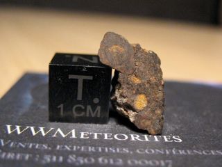 Meteorite Nwa 801 - Metal - Rich Carbonaceous Chondrite - Cr2