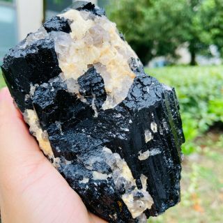 900g Natural Black Tourmaline Quartz Crystal Cluster Mineral Specimen Fcc532