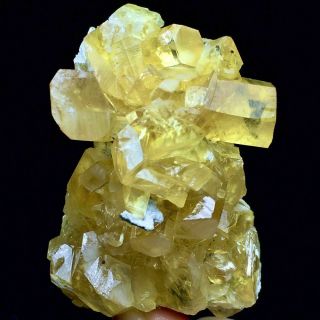 73g Rare Transparent Golden Columnar Calcite Crystal Cluster Mineral Specimen