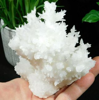 A Big 100 Natural Bright White Aragonite Crystal Cluster With A Stand 507gr