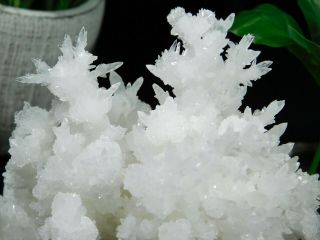A Big 100 Natural Bright White ARAGONITE Crystal Cluster With a Stand 507gr 2
