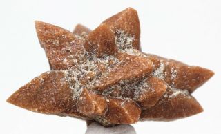 Glendonite Calcite Pseudomorph After Ikaite Crystal Cluster Mineral Specimen