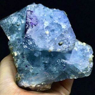 566gtransparent Deep Purple Phantom Blue Cubic Fluorite Crystal & Pyritespecimen