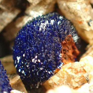 Azurite Blue Fine Crystals On Dolomite Rare Altenmittlau,  Germany