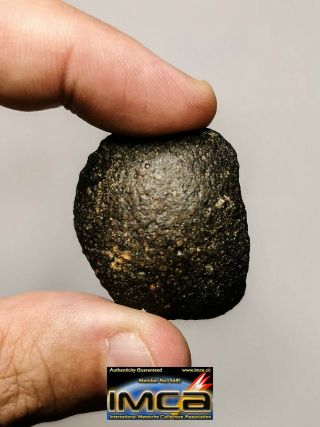 Z4 - Great Complete Oriented Nwa Unclassified Type 3 Chondrite Meteorite 38.  75g