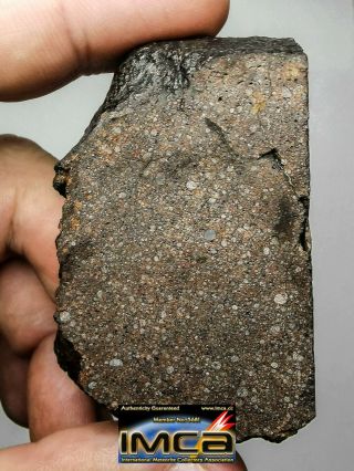 Z26 - Great Thick Slice Nwa Unclassified Type 3 Chondrite Meteorite 82.  70g